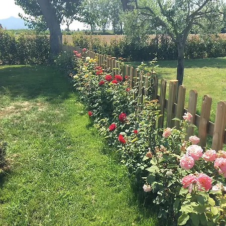 Alojamento de Acomodação e Pequeno-almoço Antica Dimora 3*